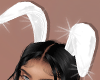$ Bunny White Ear