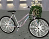 Spring Lovers Kiss Bike