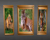 Tiger Frames 2