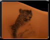 K Cheetah Tattoo (F)