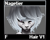 Nagetier Hair F V1