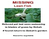 Missing Lawn Fish poster