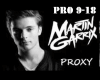 Proxy Martin Garrix 2