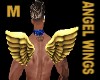 Angel Wings Gold *M