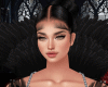 Black Neck Feather