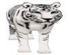 White tiger pet