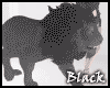 BLACK lion
