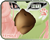 [Pets] Izu | beak v2