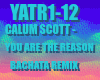 You Are The Reason remix