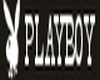 Play Boy Sticker