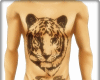Tiger Boy Tat
