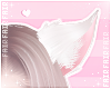 🌸 wolf ears snow