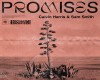 Calvin Harris-Promises