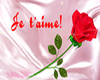 Je T'aime With rose