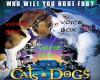 Cats &Dogs voicebox