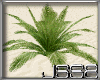 [JS] Beach Plant 1
