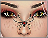 *Black Widow Spider* F