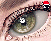 🎅  Cocodile Eyes R F
