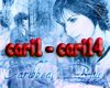 *S caribbean blue 