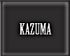-KZM-kazu sticker