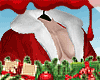 Santa red jacket