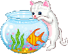 Fishbowl Kitten