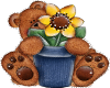 teddy with flower