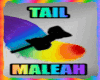 Tail | Rainbow Pride