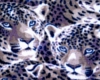 Leopard Rectangle Rug