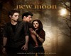twighlight new moon