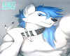 collar fur