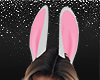 Bad Bunny Ears