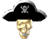 sticker pirate