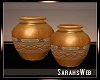 Out West Vases Set