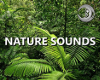 Nature SFX