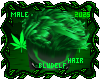 Kush Hair