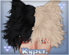 K l Roger Two Tone