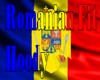 Romanian Fit Hoody