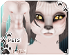 [Pets] Nefer | abs fur