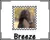 *B Horse stamp 03