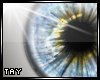Eyescapes - Profanity M