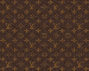 brown LV shoe