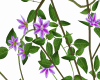 Flower Decoration