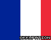 France Flag Rug Wall