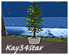Hideaway Potted Tree