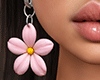 !B Aloha Hawaii Ear. DRV