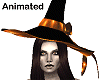 orange witch hat ANI