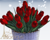 Wedding Tulips Red