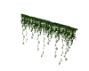 Wall Vines
