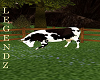 Fox/Dairy Cow